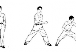 怎么转呼啦圈正确姿势视频教程,跟随专业视频教程，掌握正确姿势